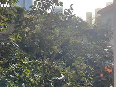 -曹禺故居纪念馆