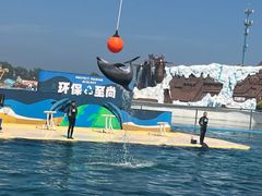 -秦皇岛乐岛海洋王国