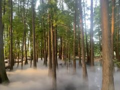 -东湖落雁景区