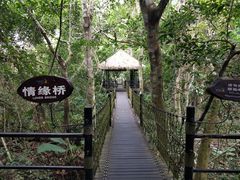 -呀诺达热带雨林