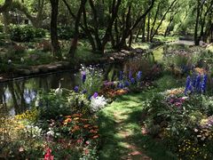 -上海共青森林公园