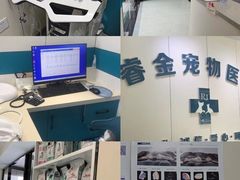 -睿金宠物医院·CT·肿瘤·骨外科
