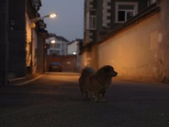 -雨花胜境