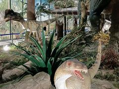 -湖南省地质博物馆