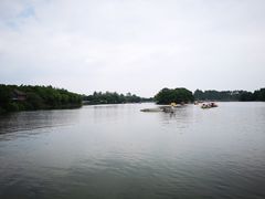 -三圣花乡旅游区