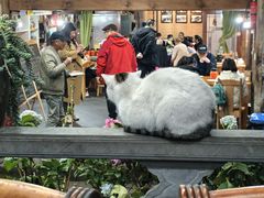 -龙姐私房菜(和顺古镇店)