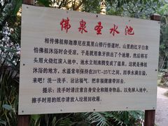 -莫里热带雨林景区