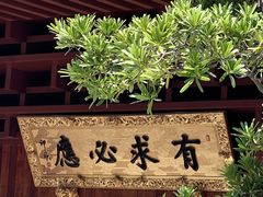 -深圳仙湖植物园