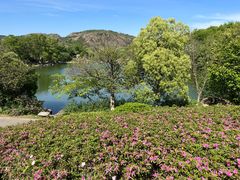 -白马涧龙池景区