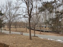 -东郊湿地公园