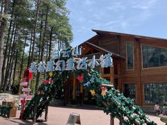 -洛阳白云山景区