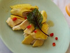 特色白切草母鸡-新名仕新白玉兰餐厅