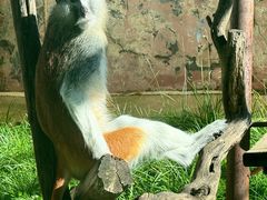 -青藏高原野生动物园