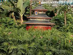 -南宫五洲植物乐园