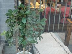 -要德鱼庄(陕钢家属院店)