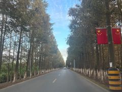 -长兴对江渡客运站