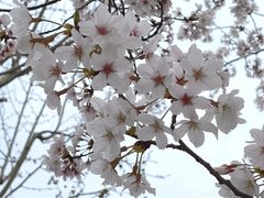 -龙美术馆(西岸馆)