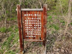 -帽儿山风景区