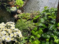 -炊烟餐厅