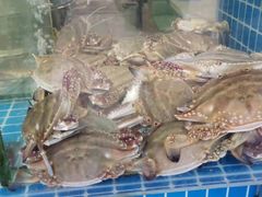 -富临港·蒸汽海鲜·手抓海鲜·炒菜(栈桥店)