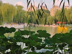-丰台花园