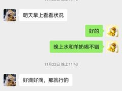 -翊宠yipet猫狗购宠庄园犬舍•猫舍