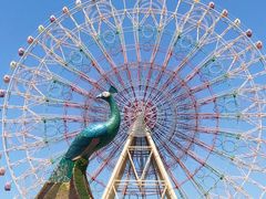 -七彩云南欢乐世界