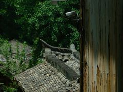 -杨家堂村