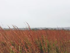 -夏威夷火山国家公园