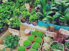 -秦美花卉(天朗·莱茵小城2期店)