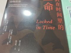-新华书店(华城路店)