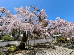 -醍醐寺