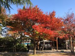 -南通博物苑-崇川人民公园