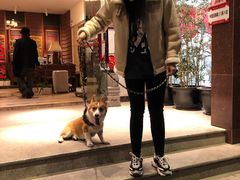 门面-渝信川菜(工体店)