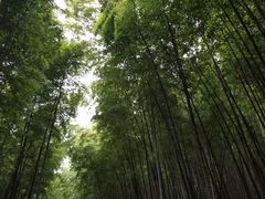 -苏州环秀晓筑养生度假村