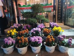 -天怡·鱼工厂(临江店)