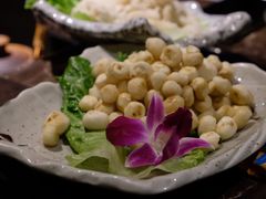 野生马蹄-同仁四季椰子鸡(海岸城天利店)
