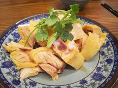 -九斤黄三黄鸡专卖店