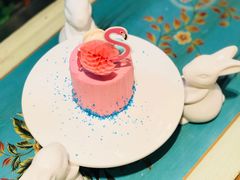 火烈鸟-随心小姐