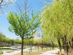 -中关村生命科学园