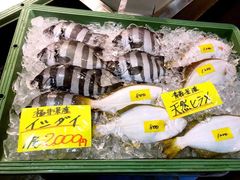 -海鮮寿司とれとれ市場