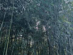 -竹泉村旅游度假区