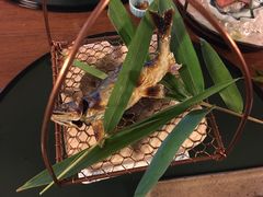 -料亭菊水楼