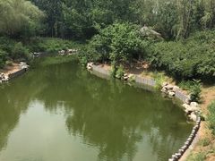 -大兴滨河森林公园