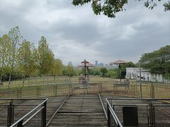 -合肥野生动物园