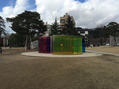 -金泽21世纪美术馆