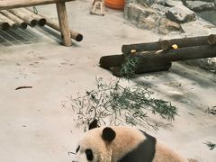-杭州动物园