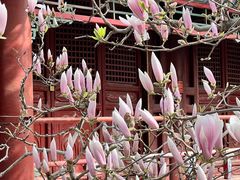 -潭柘寺景区