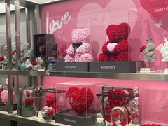-ROSEONLY诺誓(沈阳万象城店)