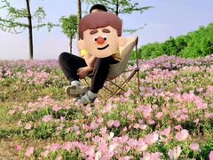 -汉长安城未央宫国家考古遗址公园